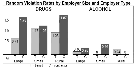 Random Violation Rates by Employer Size and Employer Type